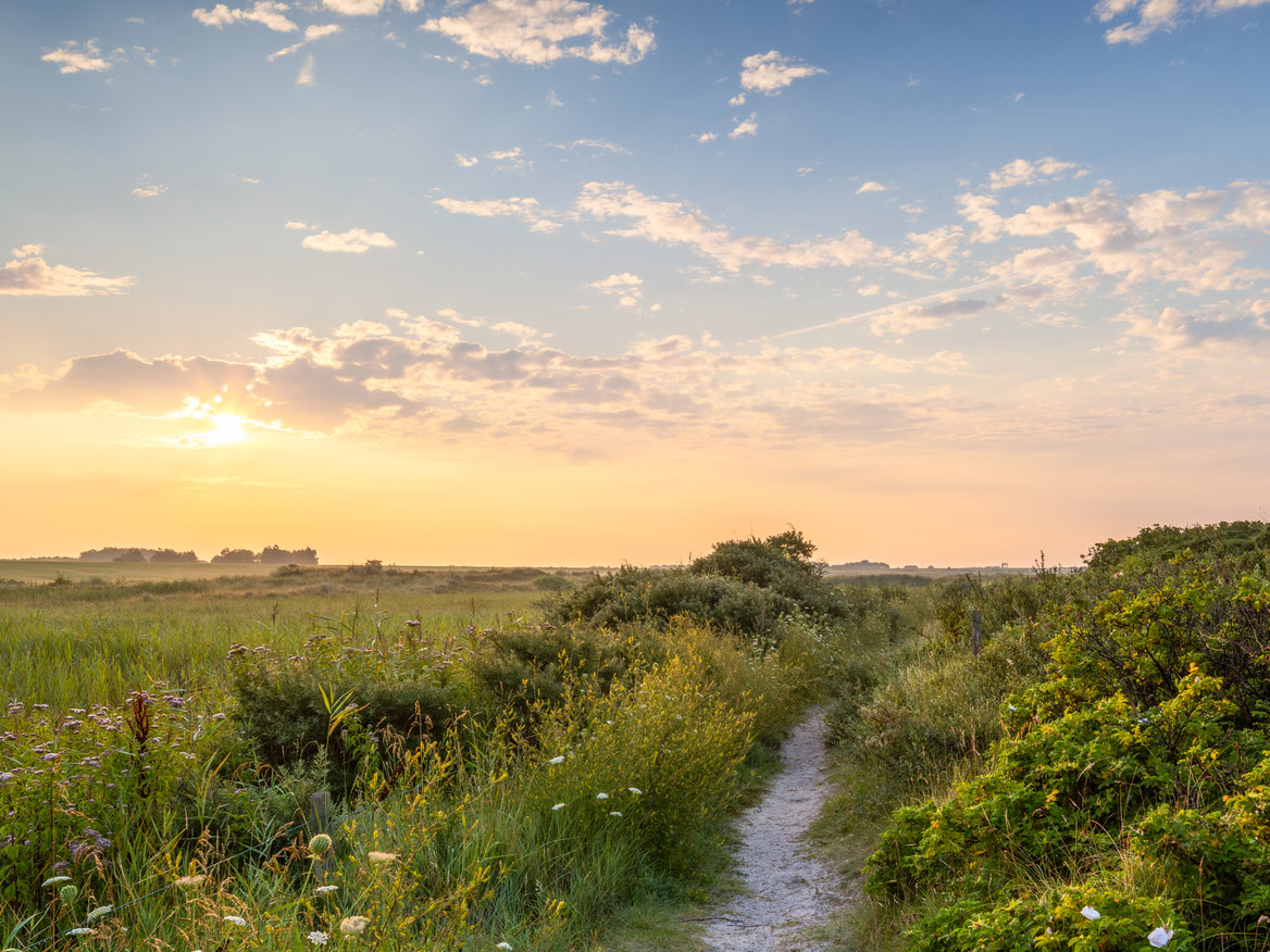 Ein schmaler Pfad führt durch eine grüne Landschaft bei Sonnenuntergang. Der Himmel ist leicht rosa gefärbt, mit einigen Wolken, und die Sonne steht tief am Horizont. Das Bild symbolisiert einen Lebensweg inmitten von Ruhe und Natur.