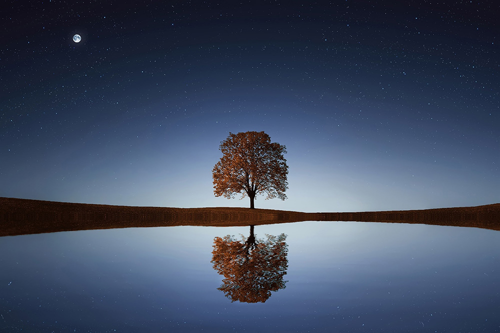 Ein Baum, der sich abends in einem See spiegelt. Über ihm ein Sternenhimmel.